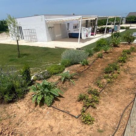 White House En Enguera - Fantastica Casa Con Jacuzzi Piscina Y Barbacoa Apartment Exterior foto
