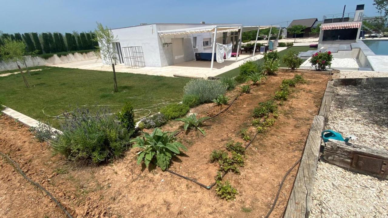 White House En Enguera - Fantastica Casa Con Jacuzzi Piscina Y Barbacoa Apartment Exterior foto